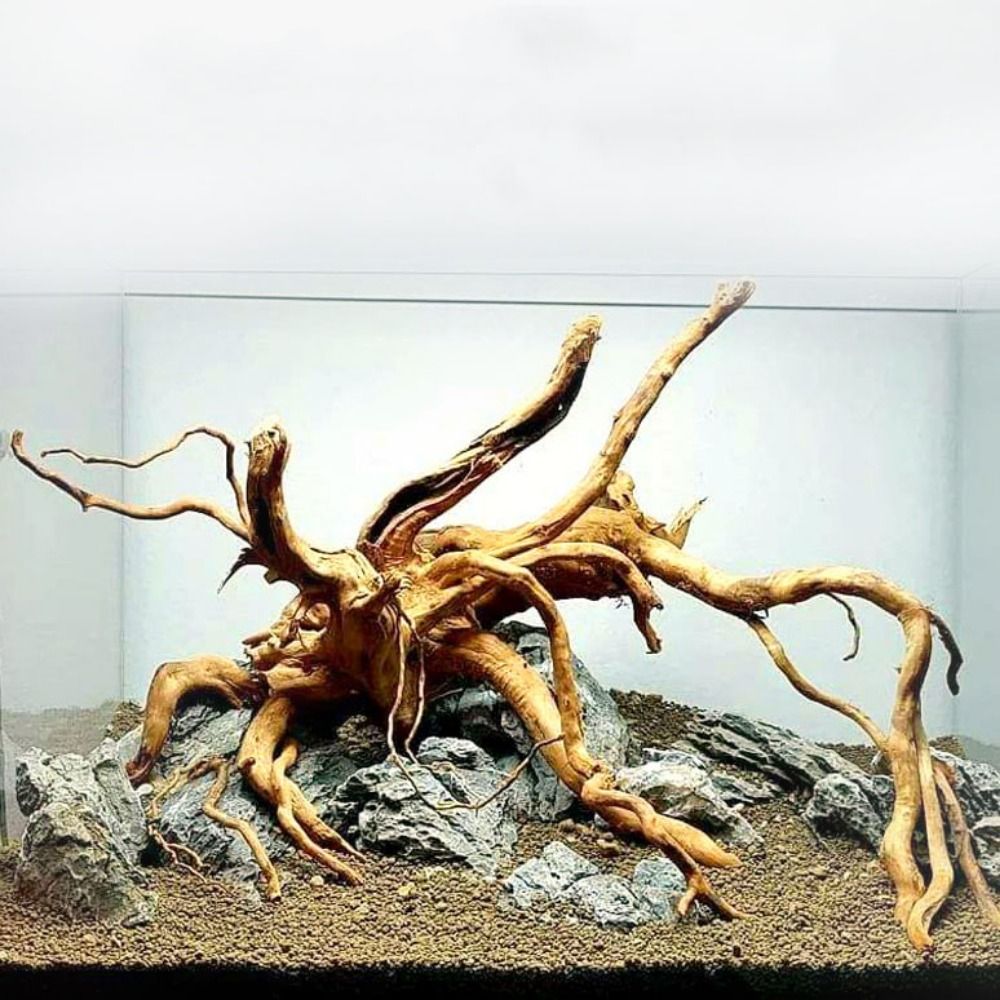 Aquarium Plant Roots - Doğal ağaç gövdesi akvaryum dekorasyon ahşap