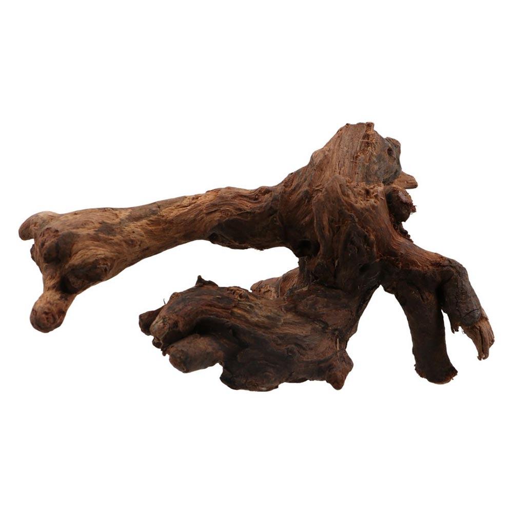 Aquarium Plant Roots - Yaratıcı Düzensiz Şekilli Mercan Ağacı Doğal