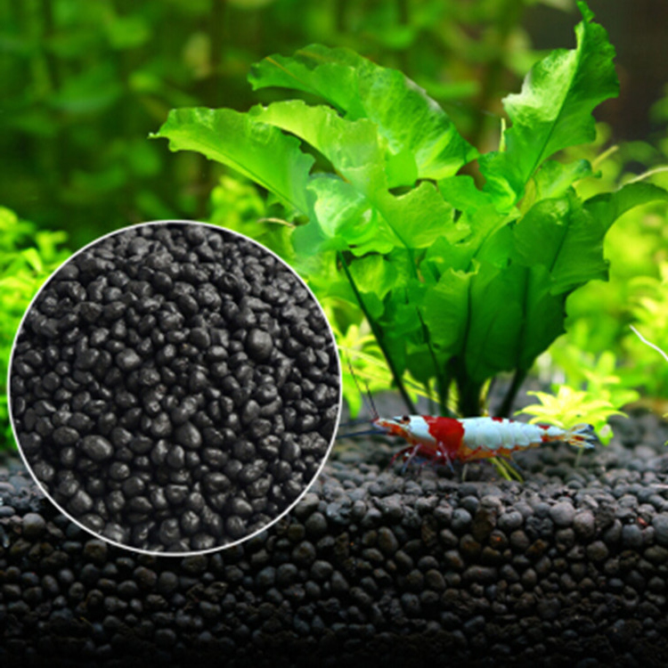 Aquarium Plant Delivery - Akvaryum bitki tohumları toprak balık tankı