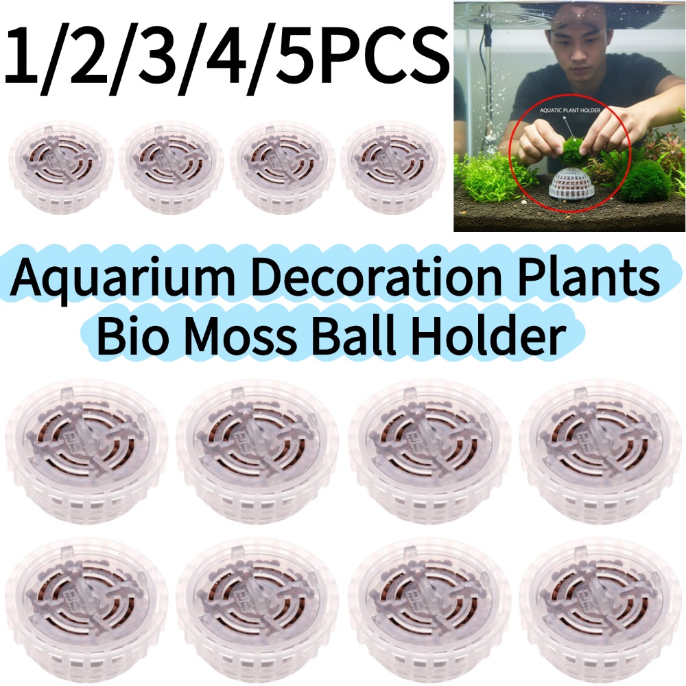 Aquarium Plant Red - 1-5 adet akvaryum dekorasyon bitkileri biyo