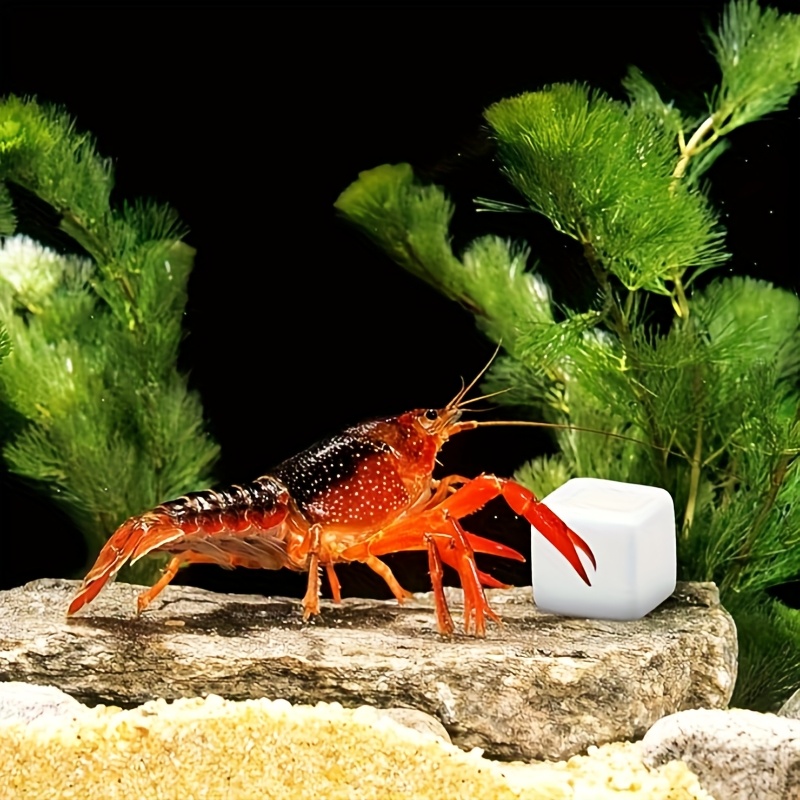 Aquarium Plant Roots - 6 Adet Balık Tankı Kalsiyum Bloğu