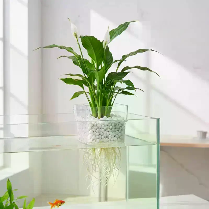 Balık Tankı Su Bitkisi Kabı 2  - Aquarium Plant Roots incelemesi ve fiyatı