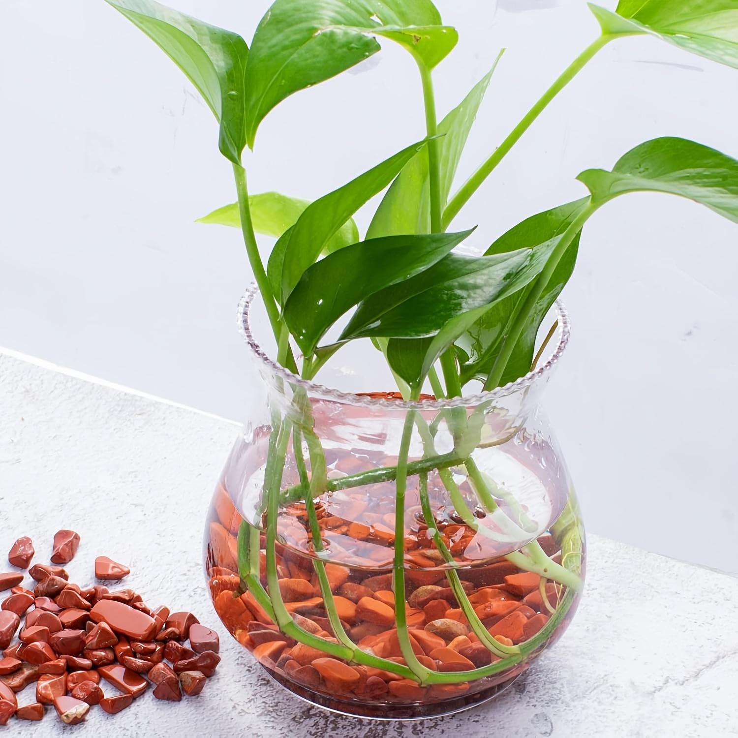 Kırmızı jasper dövülmüş taş -  - Aquarium Plant Red incelemesi ve fiyatı