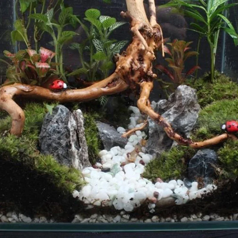 Doğal ağaç gövdesi Driftwood a - Aquarium Plant Roots incelemesi ve fiyatı