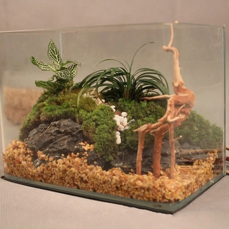 Doğal ağaç gövdesi Driftwood a - Aquarium Plant Roots incelemesi ve fiyatı