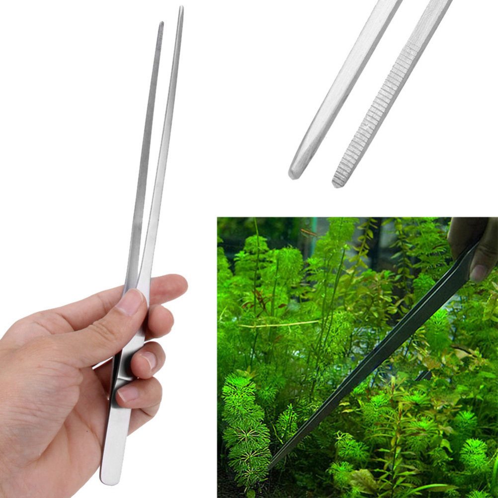 38 Cm Paslanmaz Çelik Düz Cımb - Planted Aquarium Carpet Plant incelemesi ve fiyatı