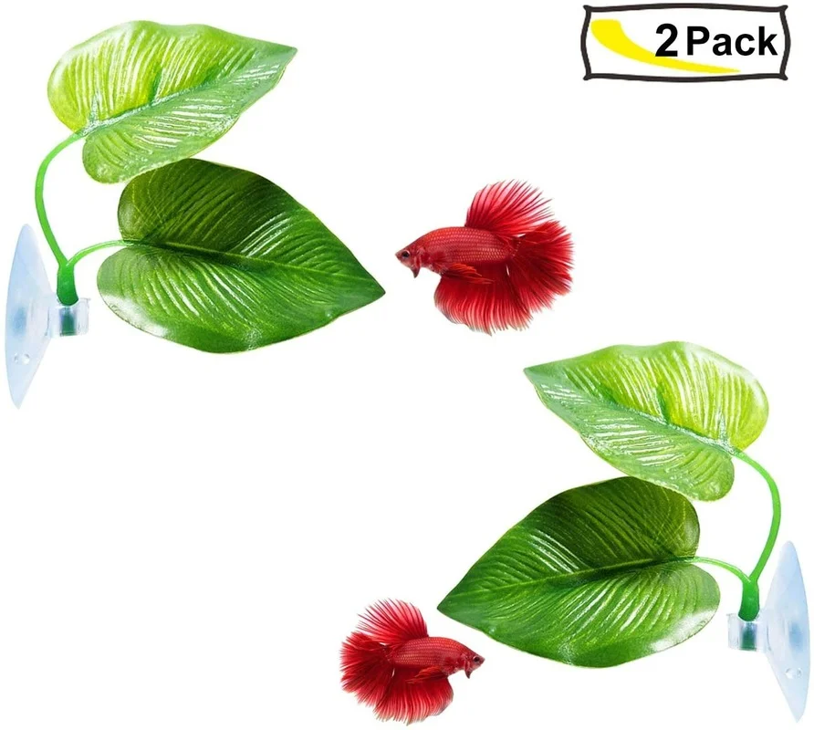 Betta Balık Yaprağı Hamak Bett - Aquarium Plant Roots incelemesi ve fiyatı