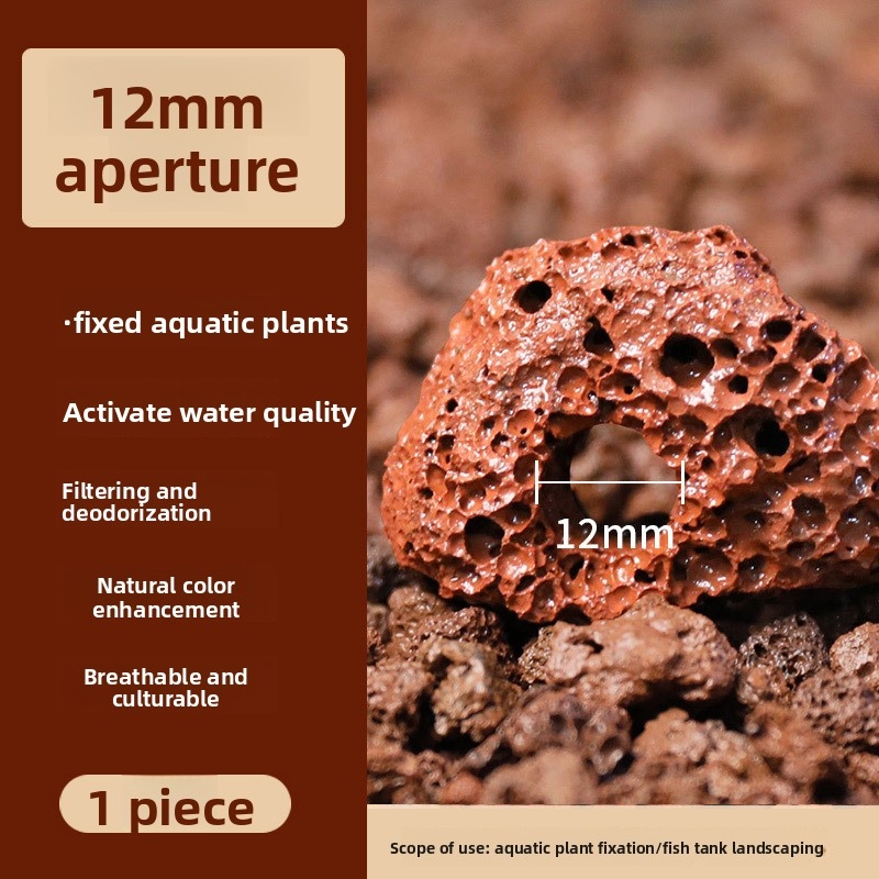 Kırmızı Lav Taşı Dikim Halkası - Planted Aquarium Carpet Plant incelemesi ve fiyatı