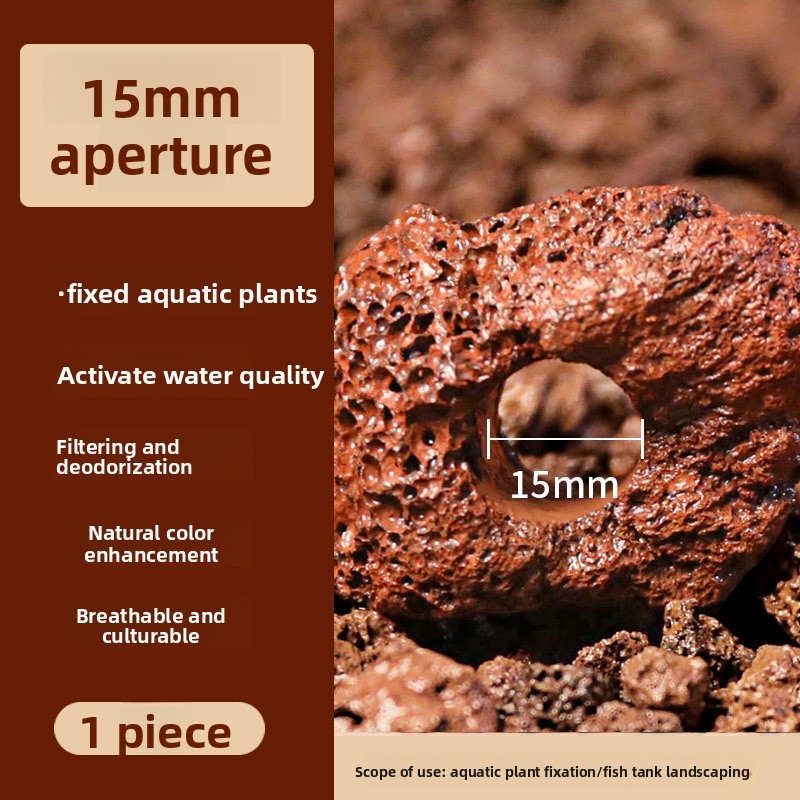 Kırmızı Lav Taşı Dikim Halkası - Planted Aquarium Carpet Plant incelemesi ve fiyatı