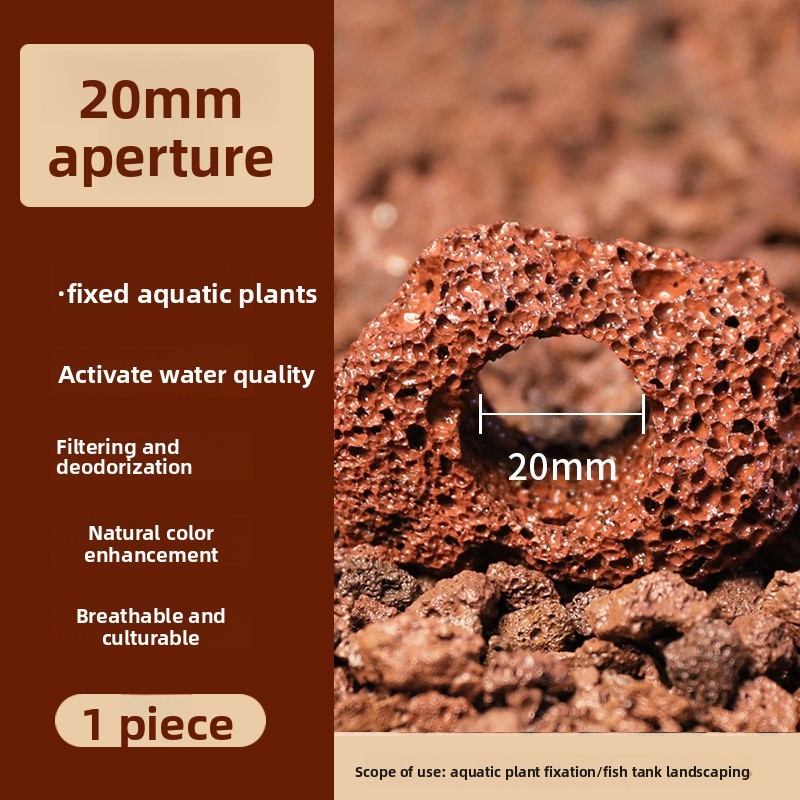 Kırmızı Lav Taşı Dikim Halkası - Planted Aquarium Carpet Plant incelemesi ve fiyatı