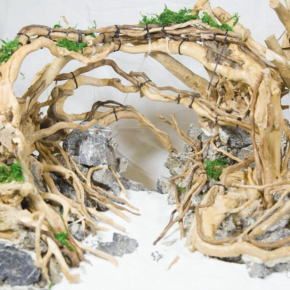 Ahşap N1N Peyzaj Akvaryum Deko - Aquarium Plant Roots incelemesi ve fiyatı