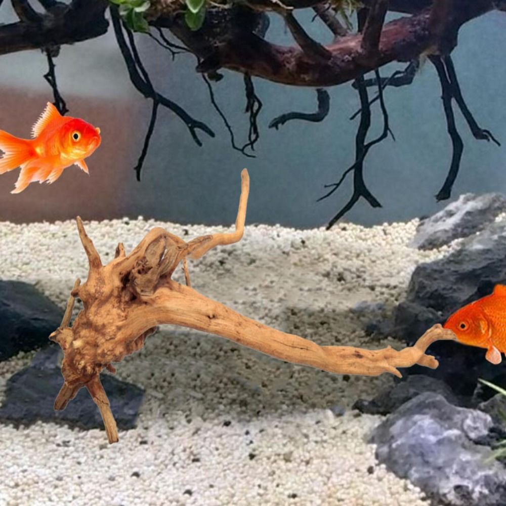 Doğal ağaç gövdesi akvaryum de - Aquarium Plant Roots incelemesi ve fiyatı