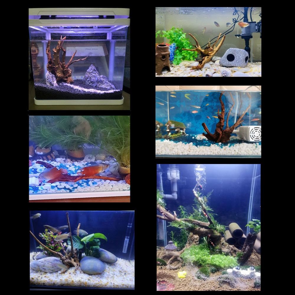Doğal ağaç gövdesi akvaryum de - Aquarium Plant Roots incelemesi ve fiyatı