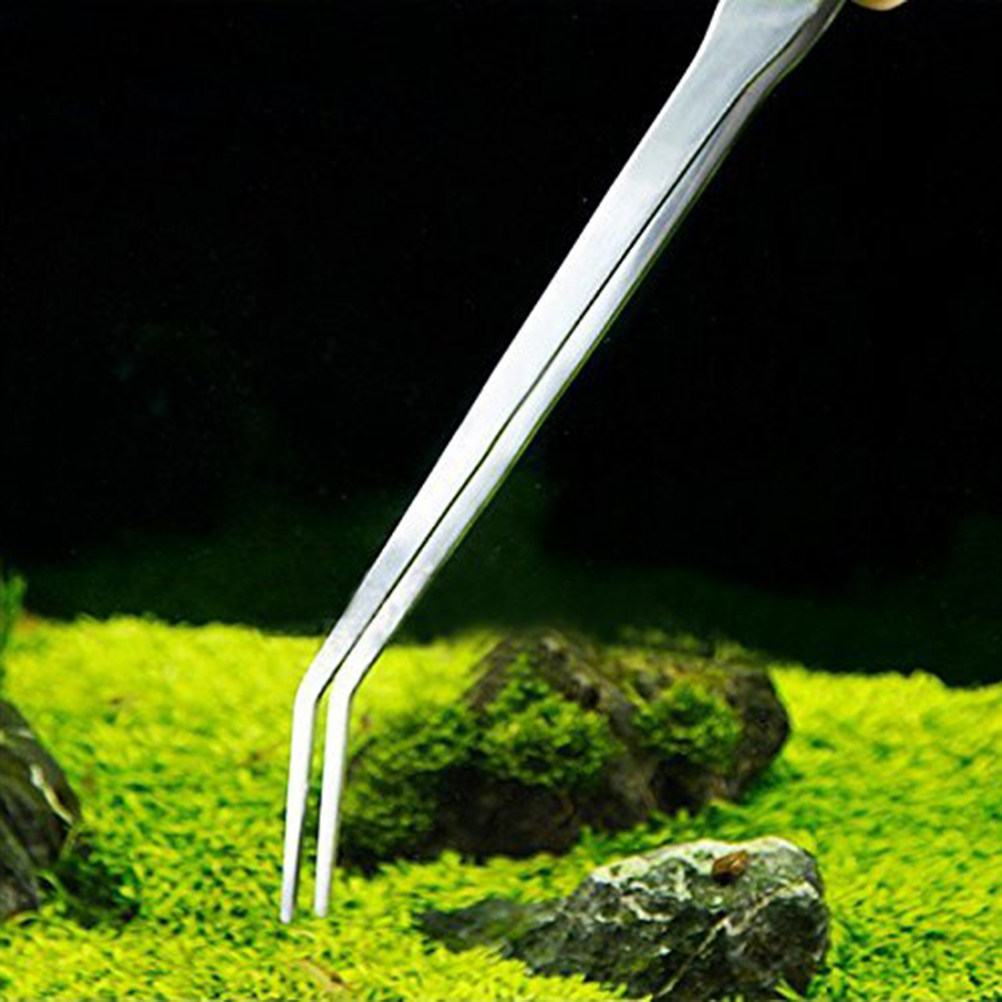 38 cm Paslanmaz Çelik Kavisli  - Planted Aquarium Carpet Plant incelemesi ve fiyatı