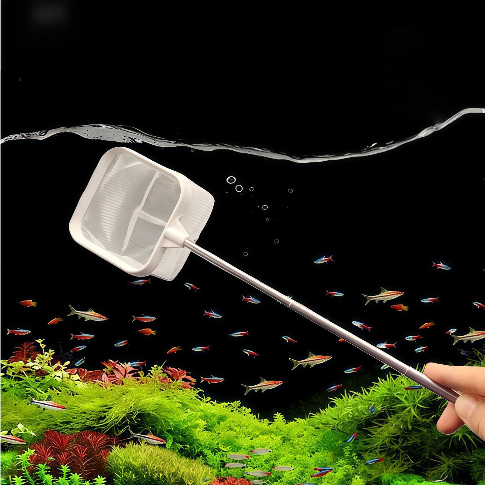 Uzatılabilir Uzun Saplı İnce Ö - Aquarium Plant Roots incelemesi ve fiyatı