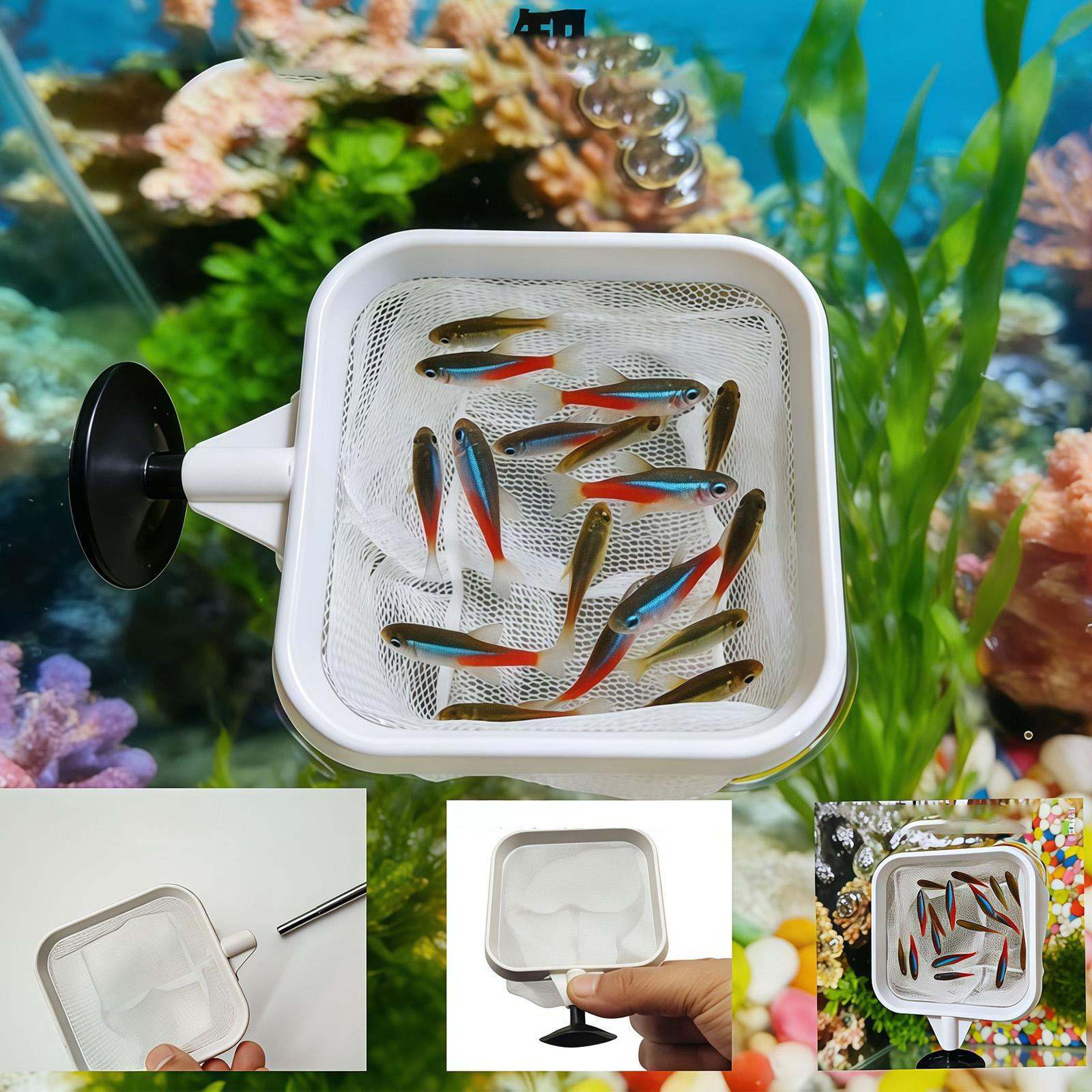 Uzatılabilir Uzun Saplı İnce Ö - Aquarium Plant Roots incelemesi ve fiyatı