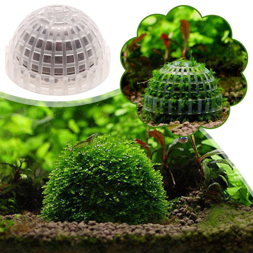 1-5 adet akvaryum dekorasyon b - Aquarium Plant Red incelemesi ve fiyatı