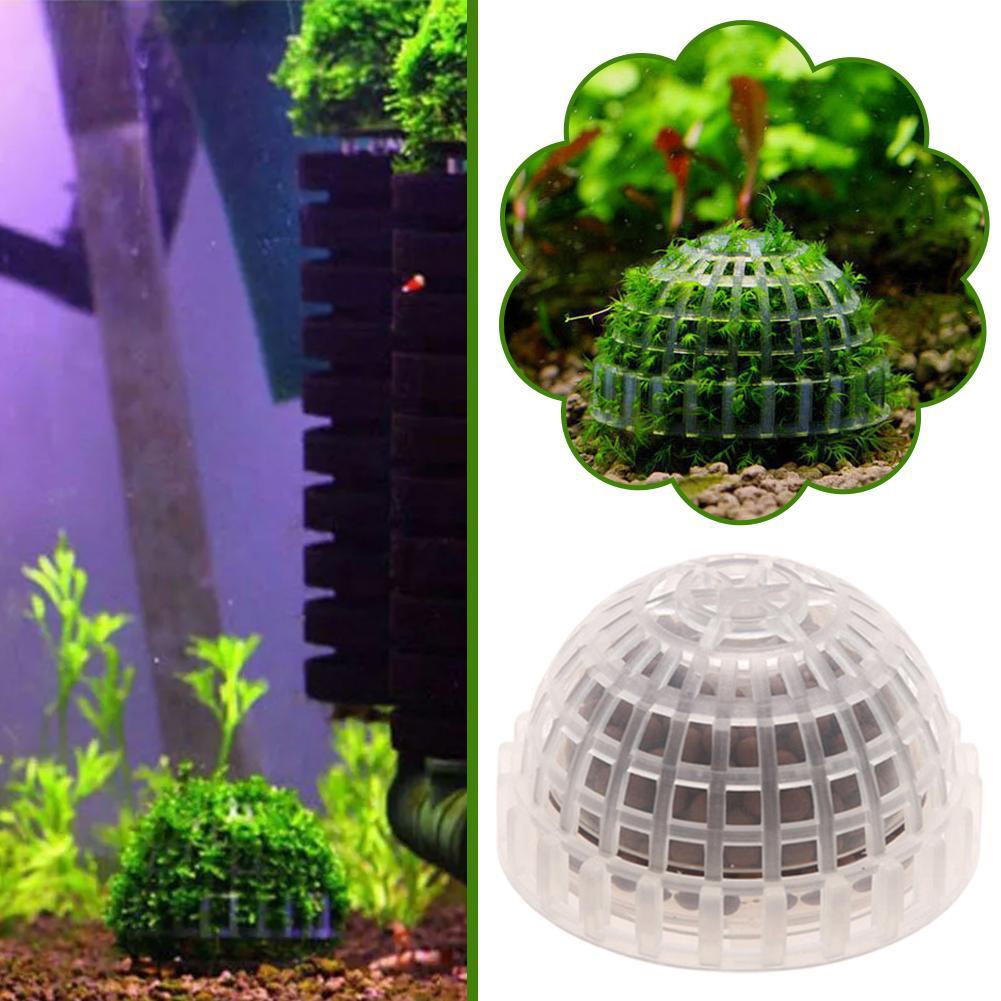 1-5 adet akvaryum dekorasyon b - Aquarium Plant Red incelemesi ve fiyatı