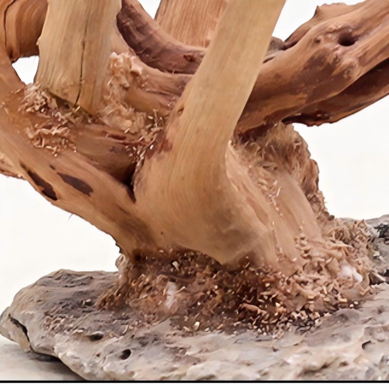 1 adet akvaryum peyzaj ahşap s - Aquarium Plant Roots incelemesi ve fiyatı