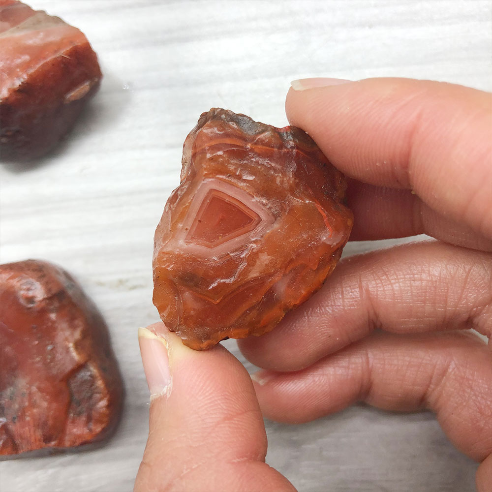 1 adet Rastgele Kaba Ham Carne - Aquarium Plant Red incelemesi ve fiyatı