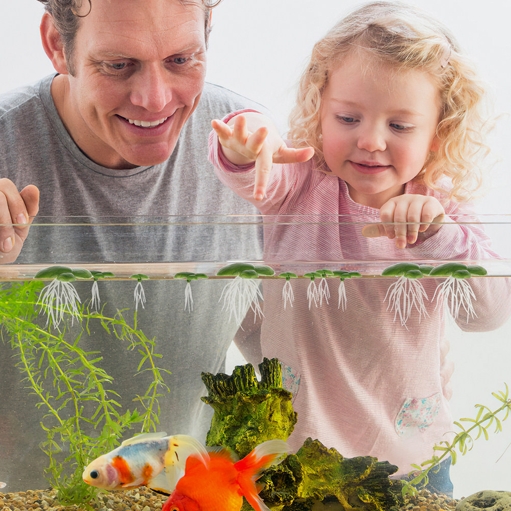 6'lı Paket Yapay Yüzen Yosun B - Aquarium Plant Roots incelemesi ve fiyatı