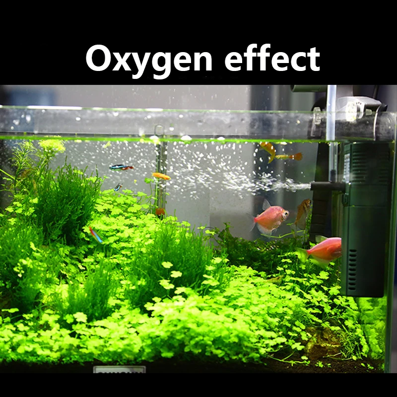 SUNSUN mini nano 111B 311B 611 - Aquarium Planted Tank Filter incelemesi ve fiyatı
