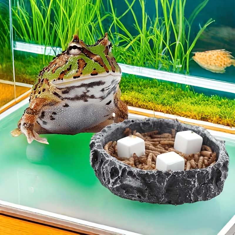 6 Adet Balık Tankı Kalsiyum Bl - Aquarium Plant Roots incelemesi ve fiyatı